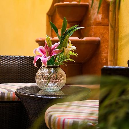 La Galeria By Bunik Hotel Playa del Carmen Ngoại thất bức ảnh