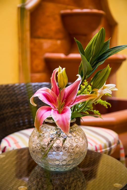 La Galeria By Bunik Hotel Playa del Carmen Ngoại thất bức ảnh