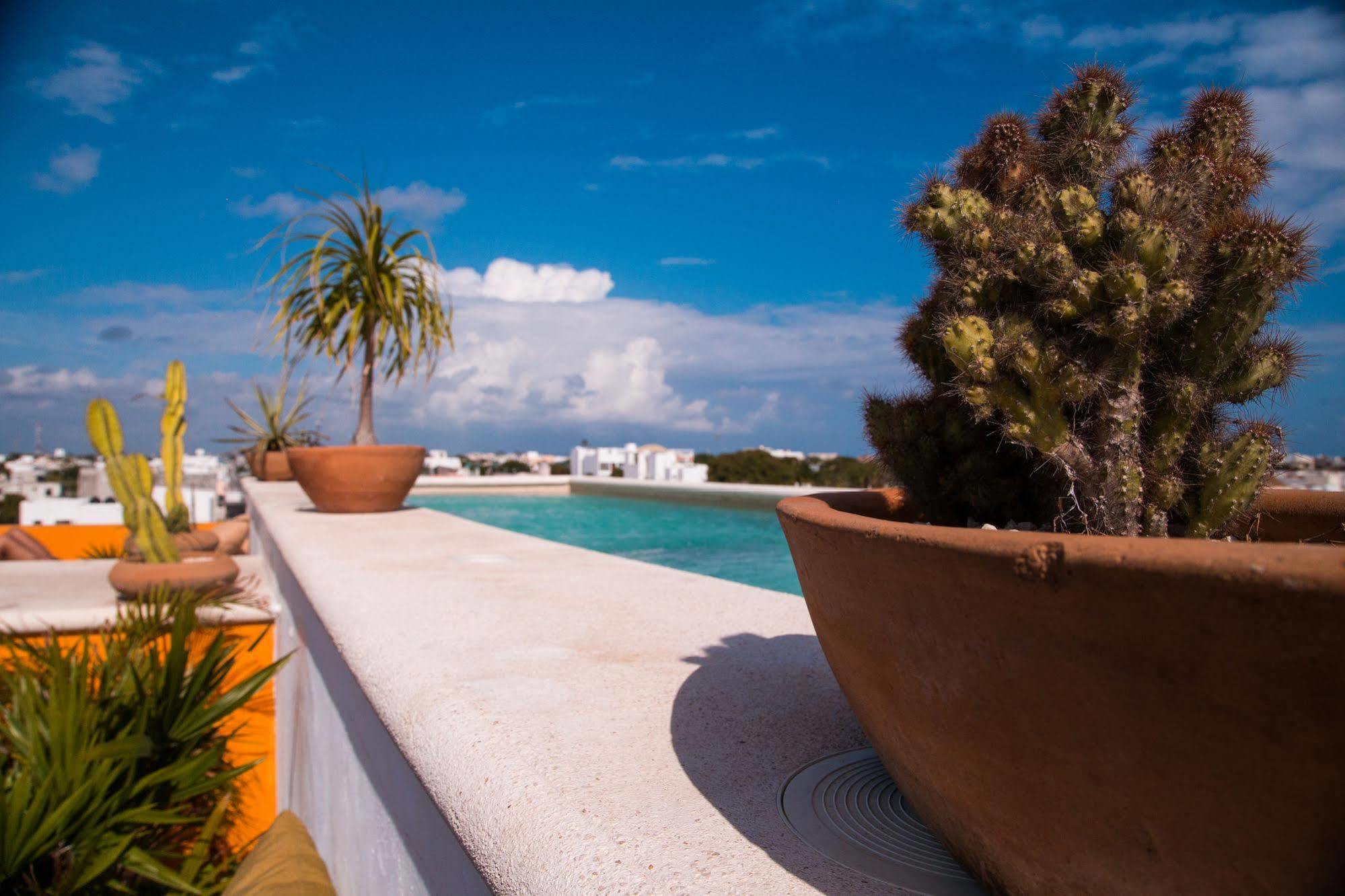 La Galeria By Bunik Hotel Playa del Carmen Ngoại thất bức ảnh