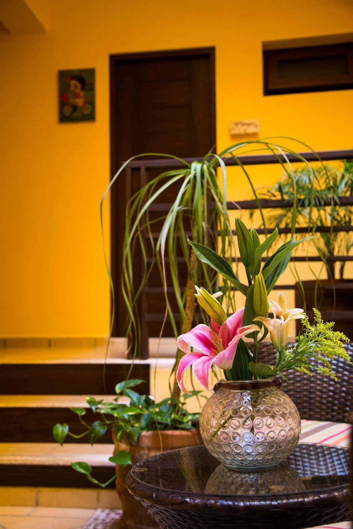 La Galeria By Bunik Hotel Playa del Carmen Ngoại thất bức ảnh